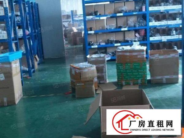  观澜福民新出带装修910平出租