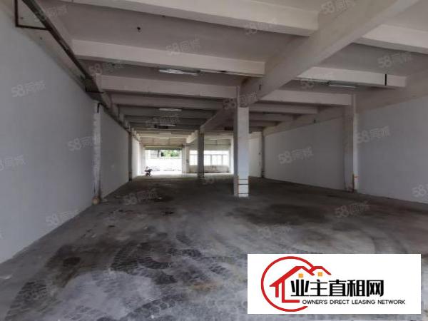  新出！龙华区观澜梅观高速路口一楼标准厂房540平方出租.