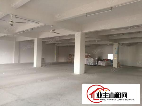  新出！龙华区观澜梅观高速路口一楼标准厂房540平方出租.
