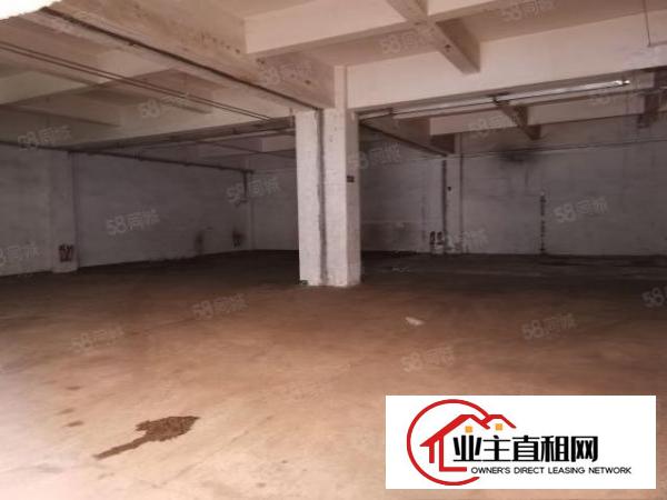  新出！龙华区观澜梅观高速路口一楼标准厂房540平方出租.