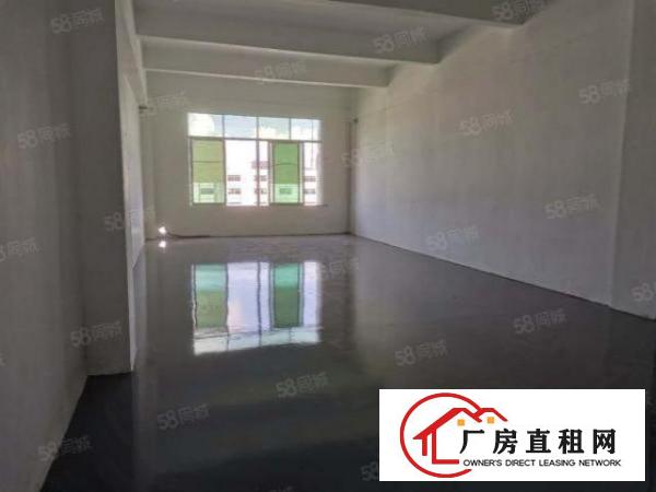  观澜福民新出楼上210平厂房，新上地坪漆，带间办公室