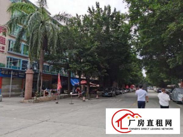  20元起500平方起观澜地铁站附近厂房出租仓库招租