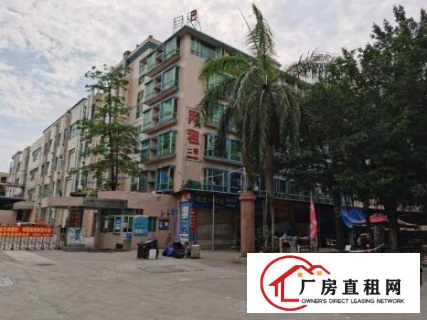  20元起500平方起观澜地铁站附近厂房出租仓库招租