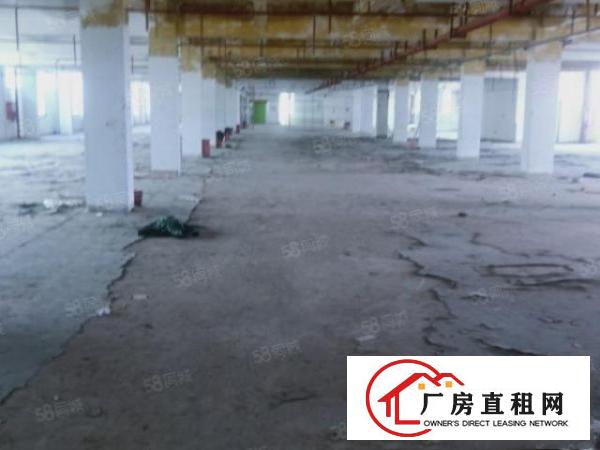  20元起500平方起观澜地铁站附近厂房出租仓库招租