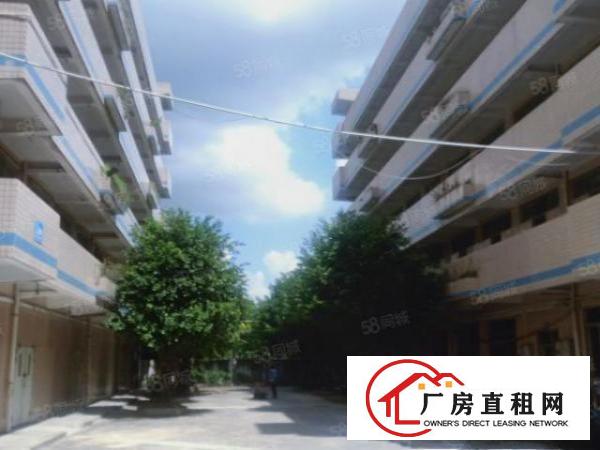  20元起500平方起观澜地铁站附近厂房出租仓库招租