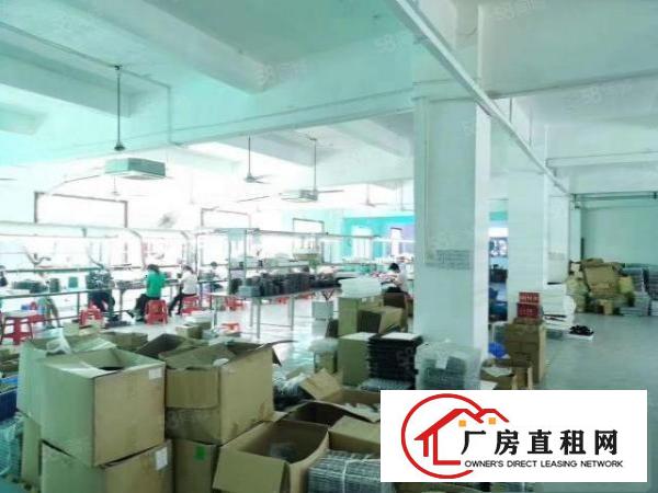  观澜桂花工业区新出原房东二楼厂房1200平方，带精装修出租