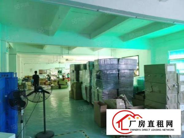  观澜桂花工业区新出原房东二楼厂房1200平方，带精装修出租