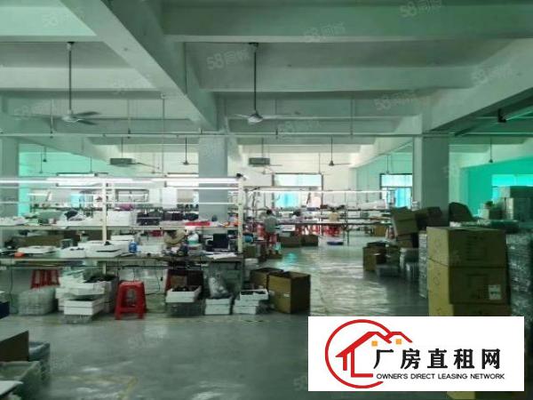  观澜桂花工业区新出原房东二楼厂房1200平方，带精装修出租