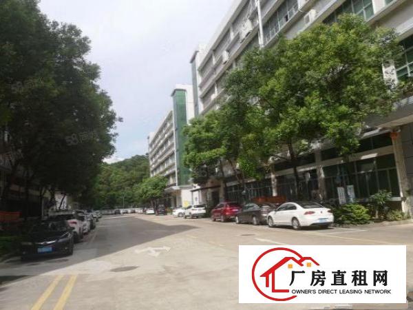  观澜章阁大富工业区新出大型园区花园式2楼1780平厂房出租
