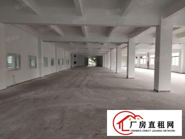  观澜库坑银星高速口2000平独门独院超大空地厂房出租
