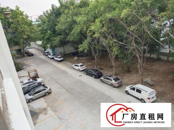  观澜库坑银星高速口2000平独门独院超大空地厂房出租