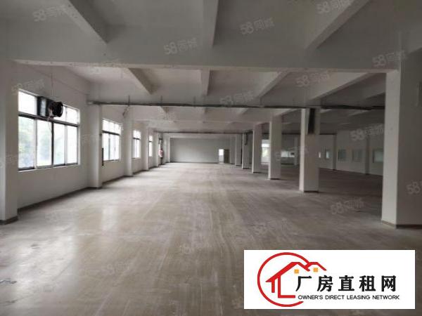  观澜库坑银星高速口2000平独门独院超大空地厂房出租