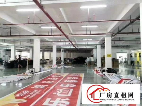  出租丨观澜牛湖新出原房东楼上2600平方带精装修大小可分出租