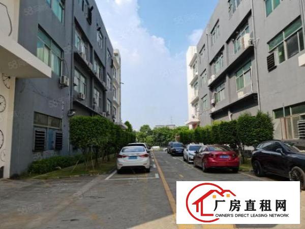  观澜章阁原房东红本厂房1800平带精装修，水电齐全，价格25