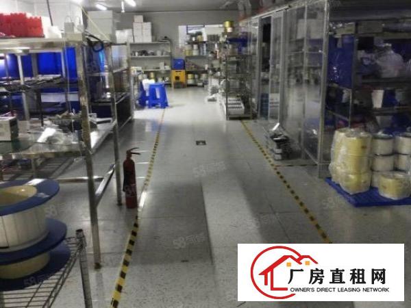  福城原房东三楼1500平方，带装修，无尘车间厂房出租