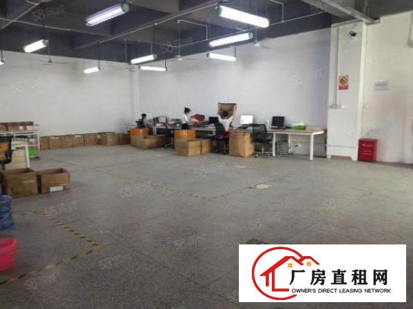  观澜工业园独院精装厂房出租8千平可分租3百平起一楼厂房仓库