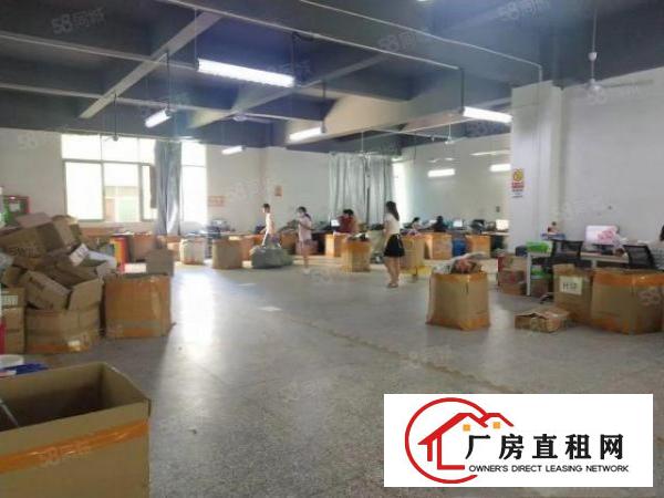  观澜工业园独院精装厂房出租8千平可分租3百平起一楼厂房仓库