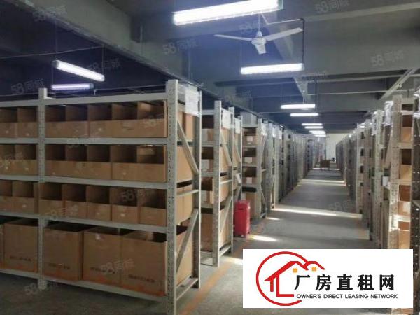  观澜工业园独院精装厂房出租8千平可分租3百平起一楼厂房仓库