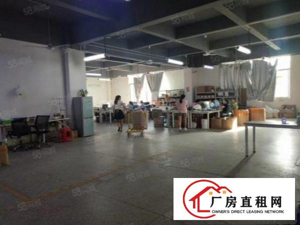  观澜工业园独院精装厂房出租8千平可分租3百平起一楼厂房仓库