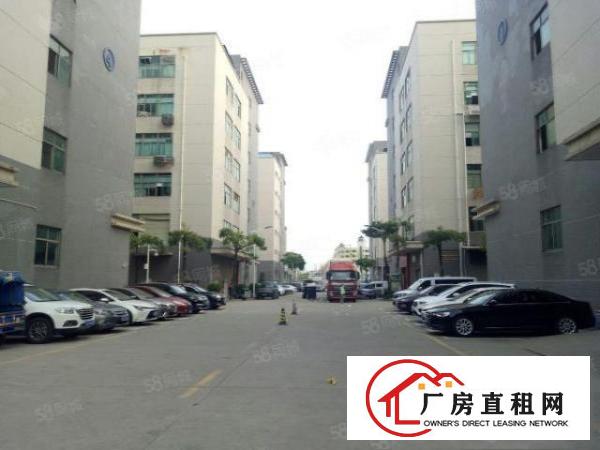  观澜工业园独院精装厂房出租8千平可分租3百平起一楼厂房仓库