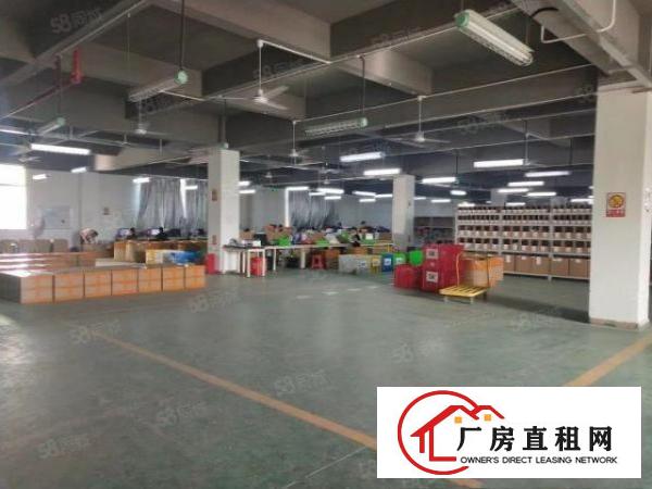 观澜工业园独院精装厂房出租8千平可分租3百平起一楼厂房仓库