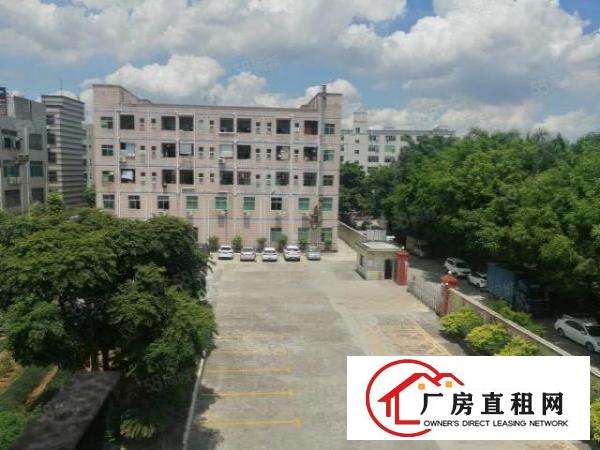  观澜新田原房东一楼1100平方标准厂房实际面积出租