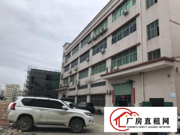  观澜新田原房东厂房无公摊一楼1600平出租