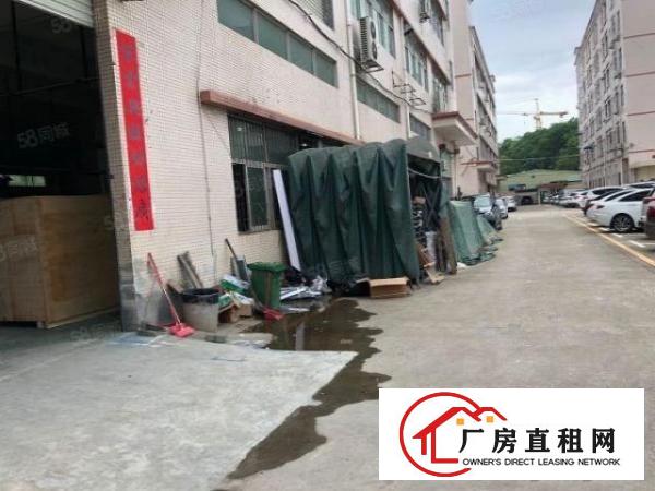  观澜新田原房东厂房无公摊一楼1600平出租