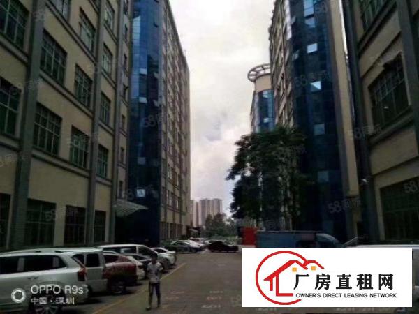  龙华观澜梅观高速路口楼上精装修独院厂房楼上2050平
