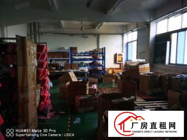  新田社区观平路1楼420租金31沿街铺面合同2年