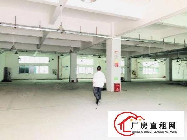  观澜茜坑龙观快速路附近一楼厂房出租1700平方现成装修