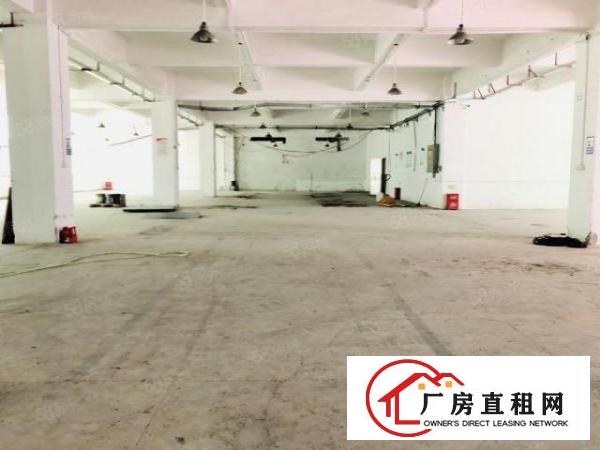  观澜茜坑龙观快速路附近一楼厂房出租1700平方现成装修