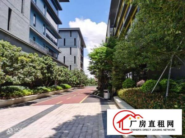  观澜高端园区350平形象好车位足交能便利精装修拎包入驻
