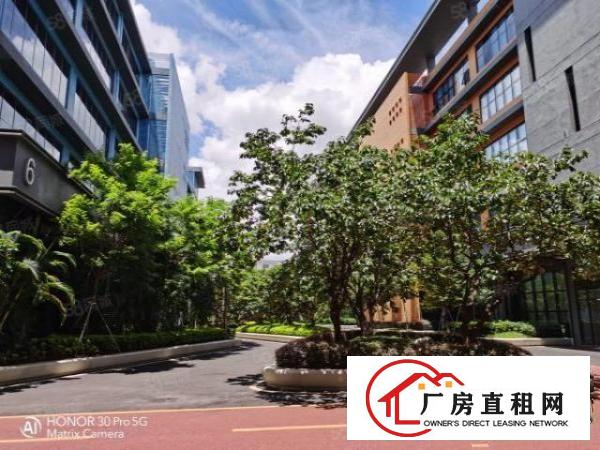  观澜高端园区350平形象好车位足交能便利精装修拎包入驻