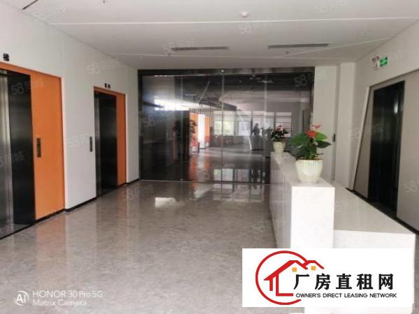  观澜高端园区350平形象好车位足交能便利精装修拎包入驻