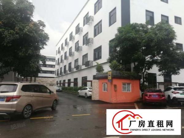  观澜桂花观光路旁新出精装修638平厂房出租无需转让费
