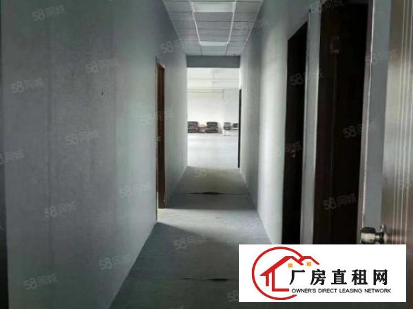  观澜桂花观光路旁新出精装修638平厂房出租无需转让费