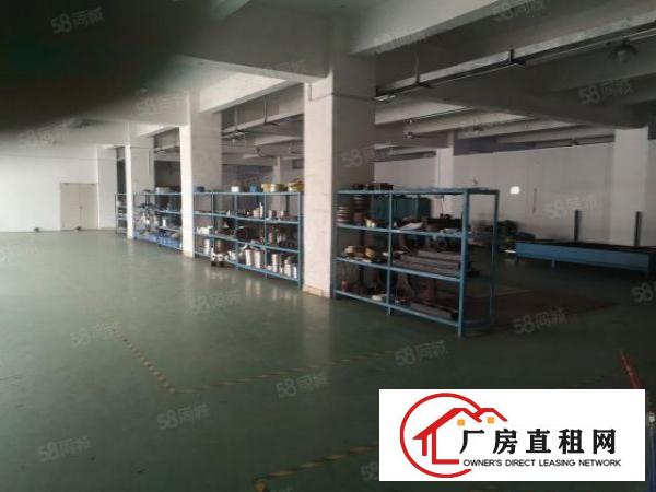  观澜桂花观光路旁新出精装修638平厂房出租无需转让费