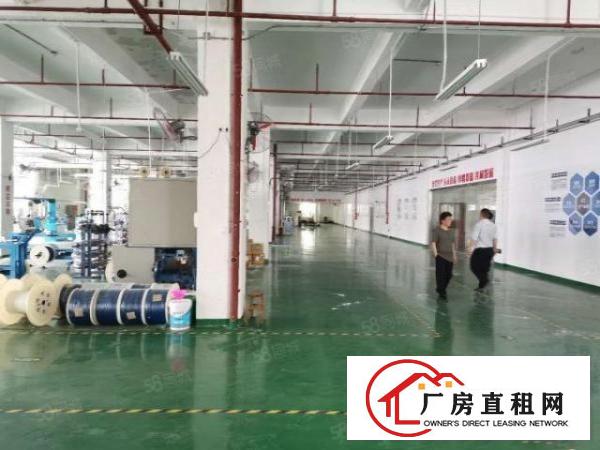 观澜新田社区原房东红本1080平米厂房一楼滴水5.5米出租