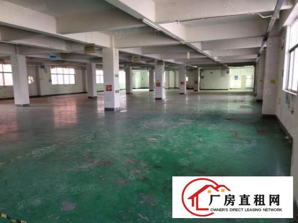 观澜新出整栋9100平重工业厂房