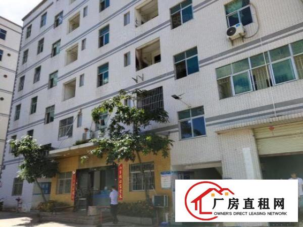  观澜新出整栋9100平重工业厂房