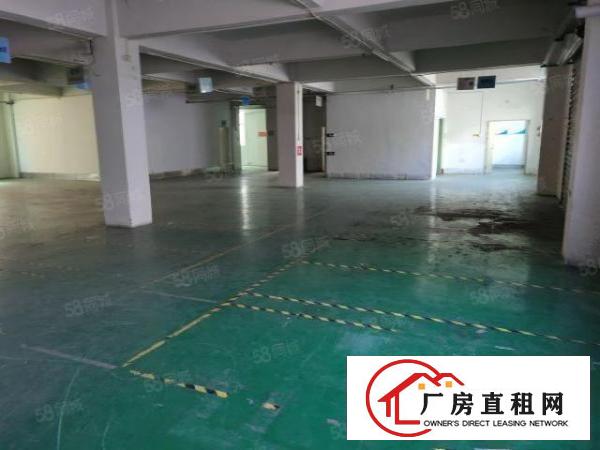  观澜新出整栋9100平重工业厂房
