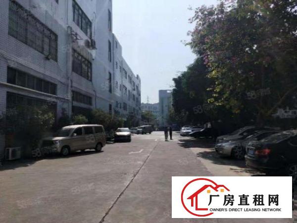  桂花庙溪村附近新出三楼1200平，精装修厂房出租