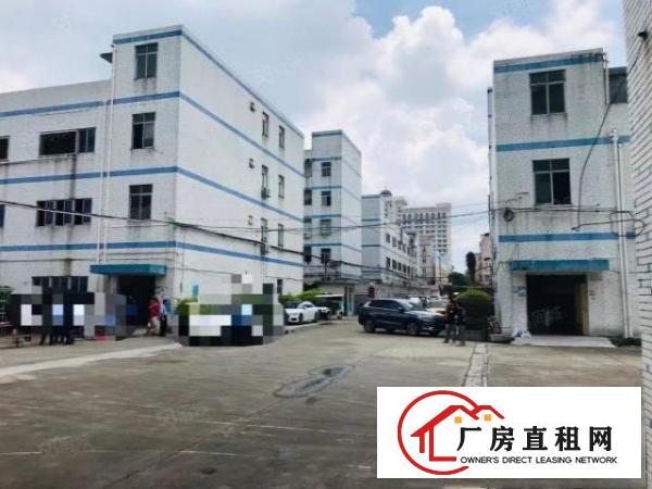  观澜新田村委厂房独门独院，厂房13层3200平方，出租