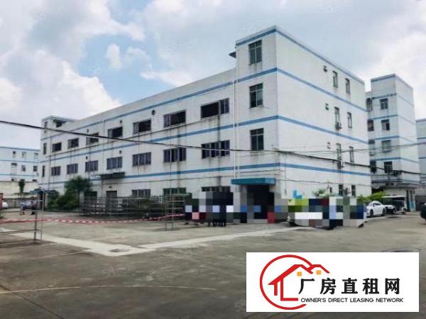  观澜新田村委厂房独门独院，厂房13层3200平方，出租