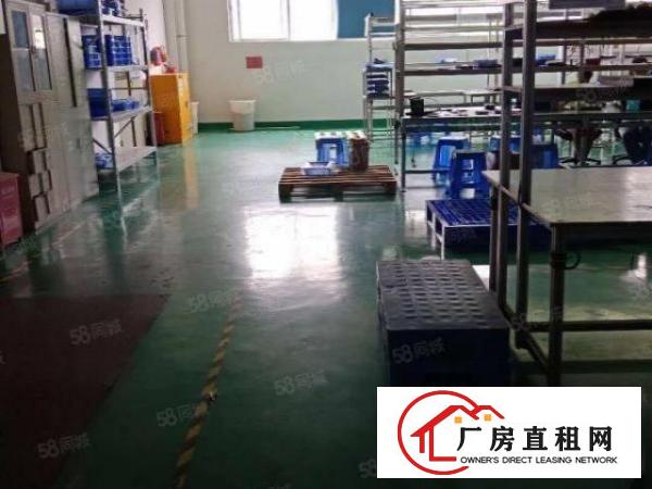  观澜环观中路粮食集团旁园房东厂房出租1500平方现成装修