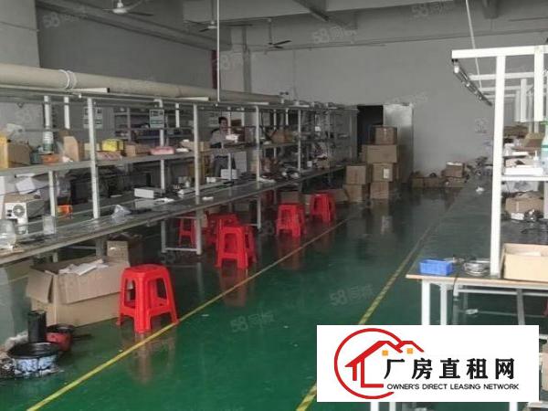  观澜环观中路粮食集团旁园房东厂房出租1500平方现成装修