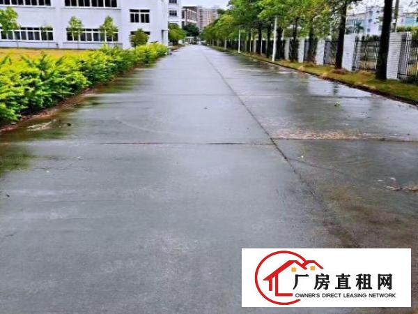  观澜湖新城原房东厂房，仓库一楼3200平米带装修出租可分租