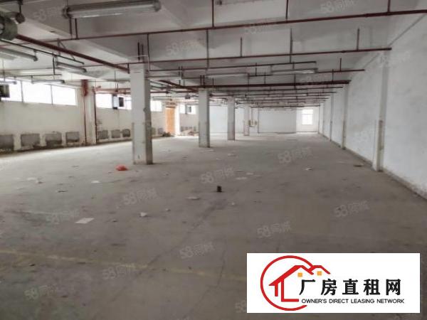  观澜新出原房东一楼厂房出租5000平方使用率高空地大