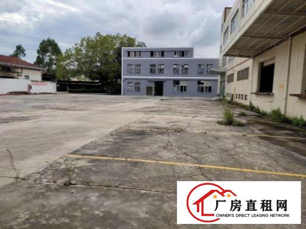  观澜新出原房东一楼厂房出租5000平方使用率高空地大